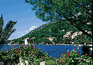 Excursions Elaphite islands
